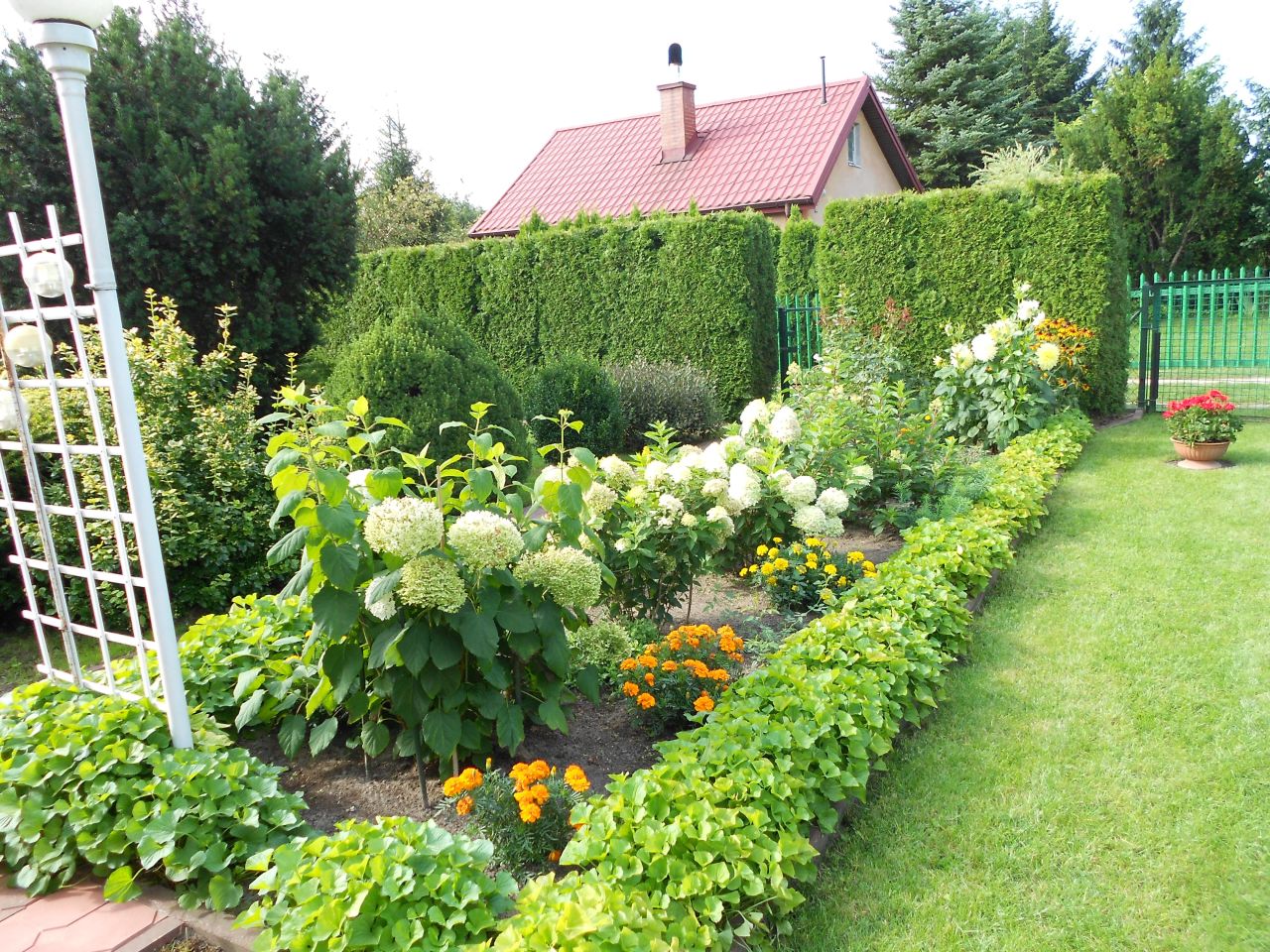 Działka rod Złotokłos, ul. Mrokowska. Zdjęcie 4