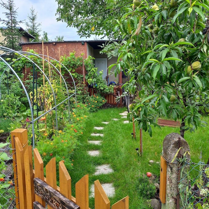 Działka rod Zielona Góra Zacisze, ul. Działkowa