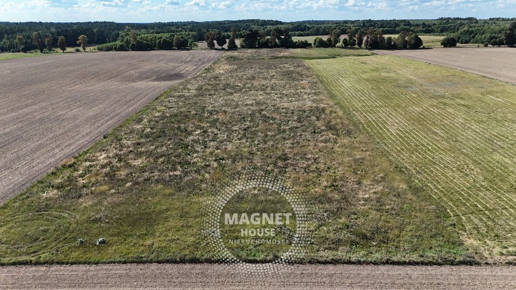Działka rolna Rutwica. Zdjęcie 8