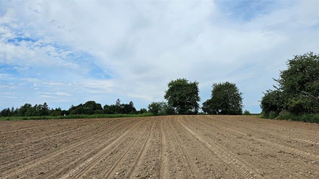 Działka rolna Dziubiele. Zdjęcie 19
