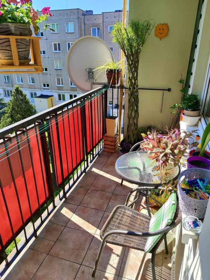 Mieszkanie 4-pokojowe Głogów, ul. Cypriana Kamila Norwida. Zdjęcie 4