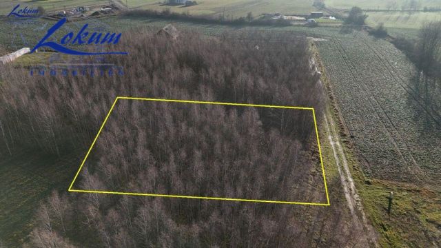 Działka inwestycyjna Lipno, ul. Borówkowa. Zdjęcie 3