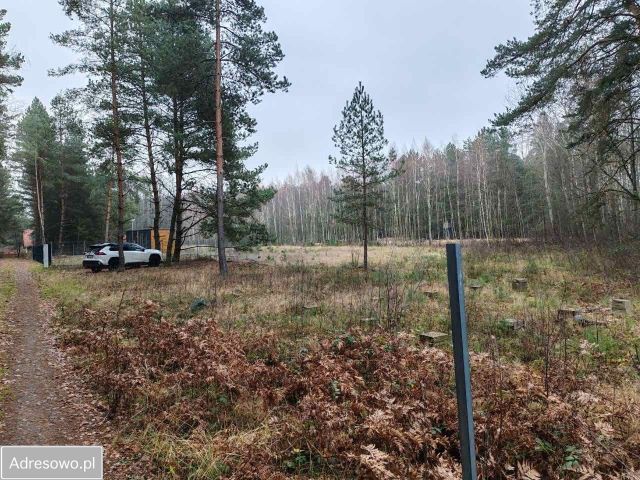 Działka budowlana Cyganka. Zdjęcie 1