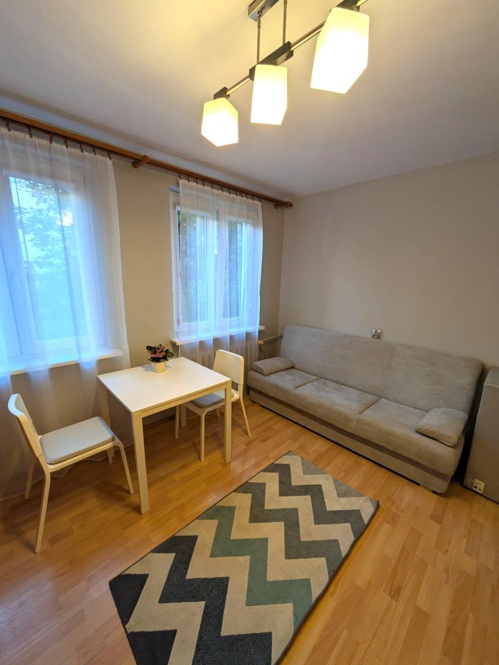 Mieszkanie 1-pokojowe Pruszków Centrum, ul. Kopernika. Zdjęcie 1