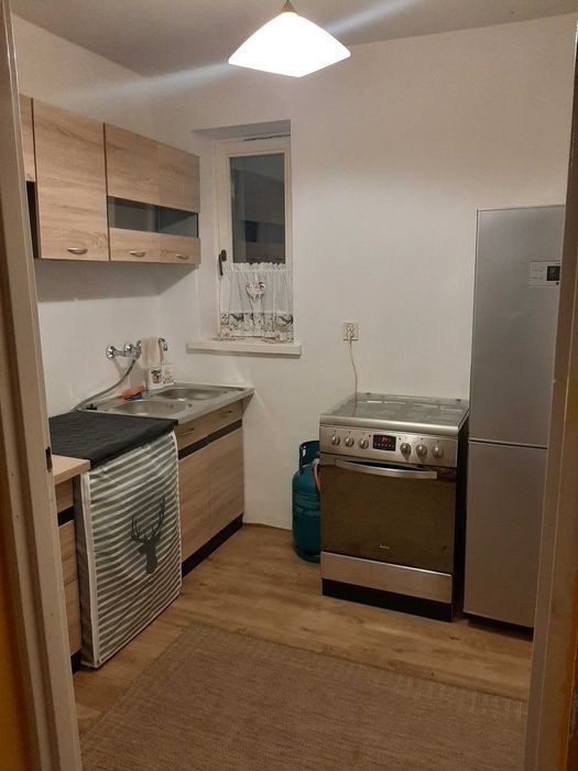 Mieszkanie 1-pokojowe Dworczysko. Zdjęcie 3