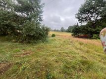 Działka rolno-budowlana Surmacze. Zdjęcie 4