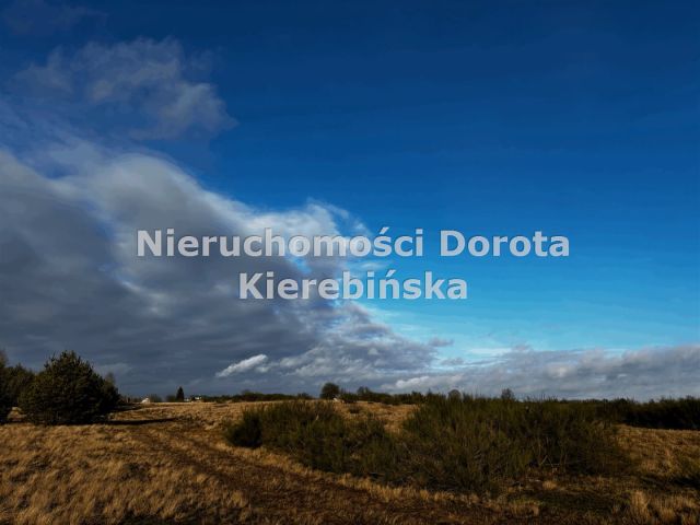 Działka Brzustów. Zdjęcie 12