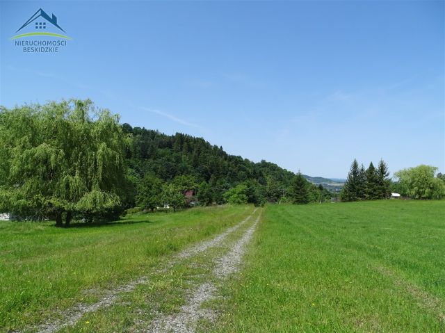 Działka rolno-budowlana Cisownica. Zdjęcie 1