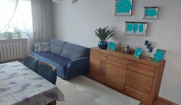 Mieszkanie 3-pokojowe Płońsk, ul. Młodzieżowa