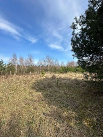 Działka rolna Steklno. Zdjęcie 1