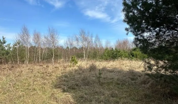 Działka rolna Steklno