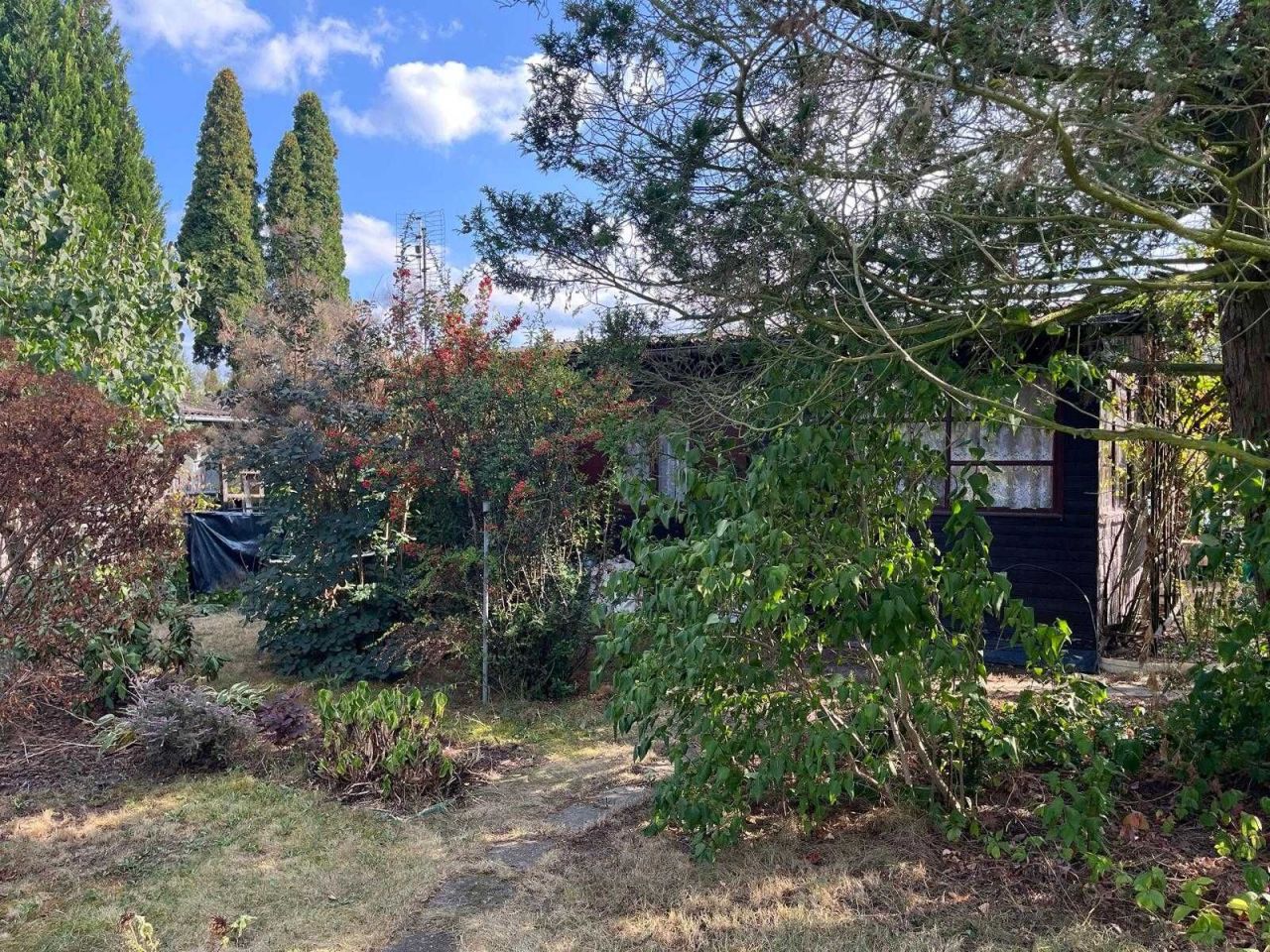 Działka rod Słomin. Zdjęcie 3