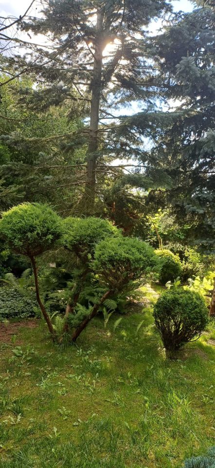 Działka rod Włocławek, ul. Kapitulna. Zdjęcie 8