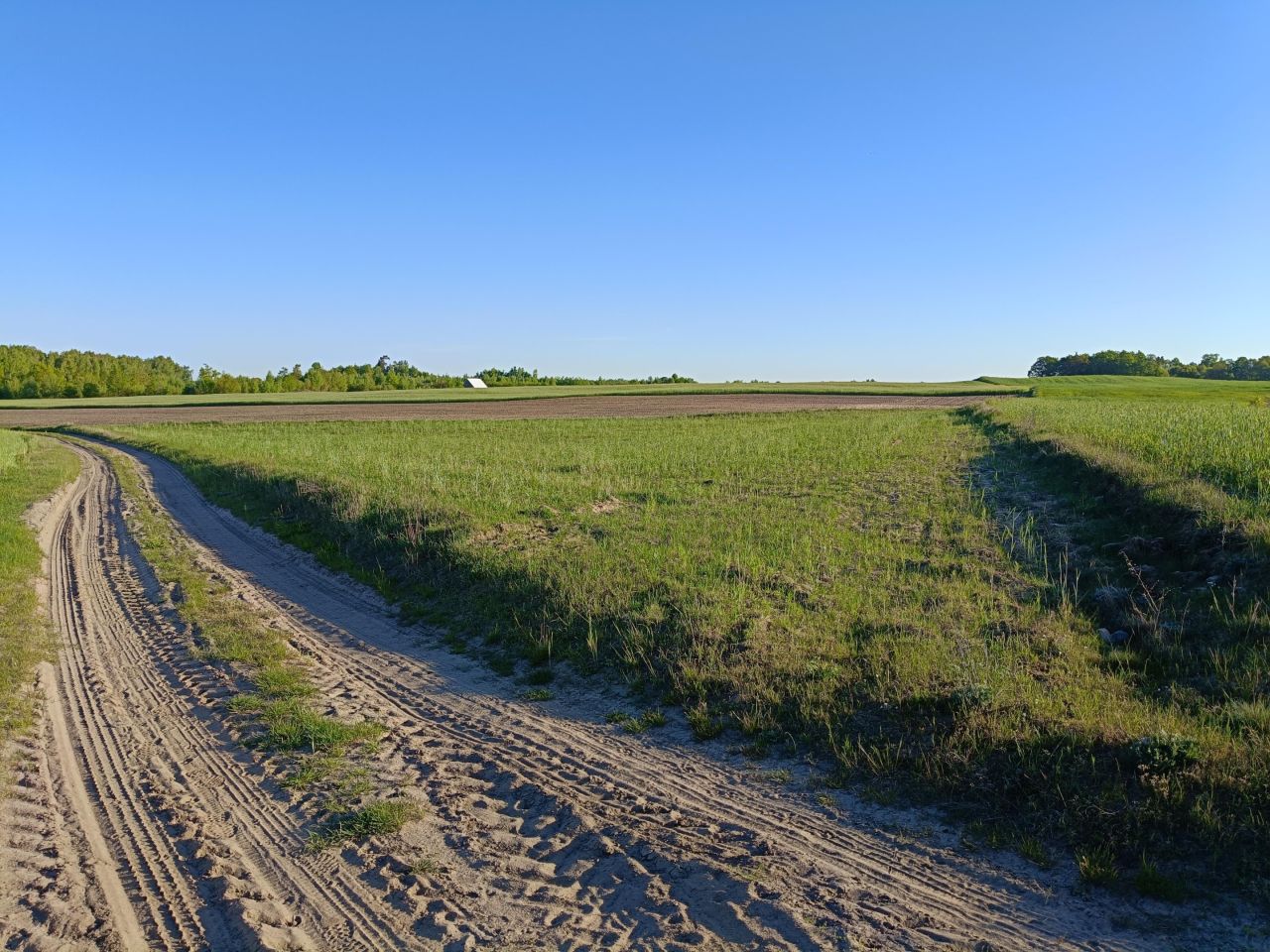 Działka rolna Wielki Mędromierz. Zdjęcie 1