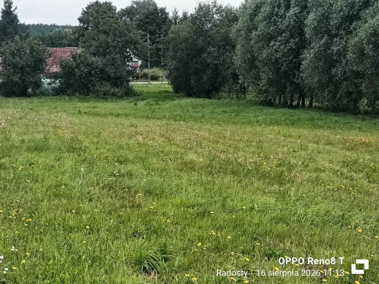 Działka rolna Radosty. Zdjęcie 5
