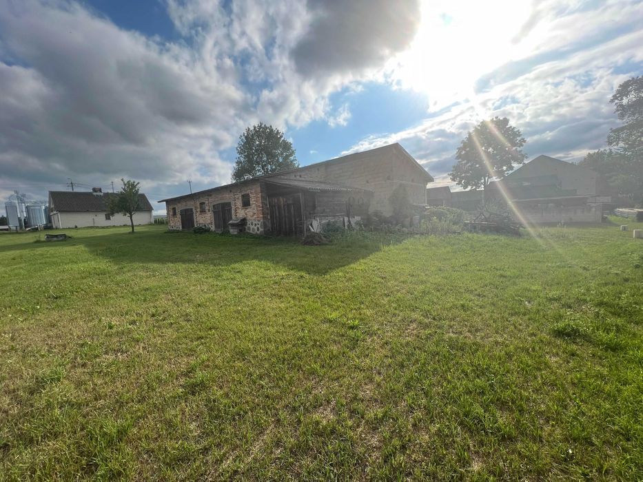 gospodarstwo Kostry-Noski. Zdjęcie 8