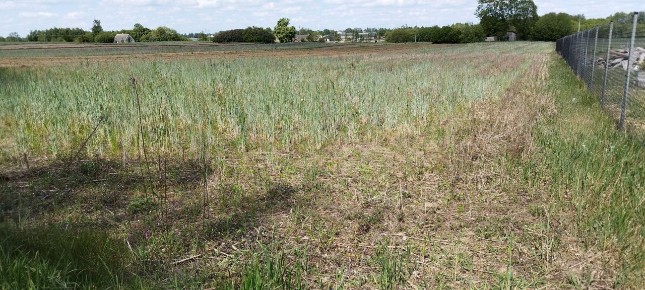 Działka budowlana Kwiatkowo