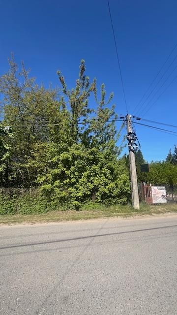 Działka budowlana Jachranka, ul. Wspólna. Zdjęcie 5