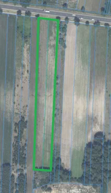 Działka inwestycyjna Kuczki-Kolonia. Zdjęcie 3