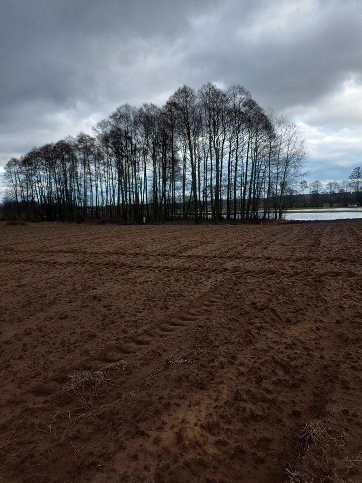 Działka budowlana Nury. Zdjęcie 3