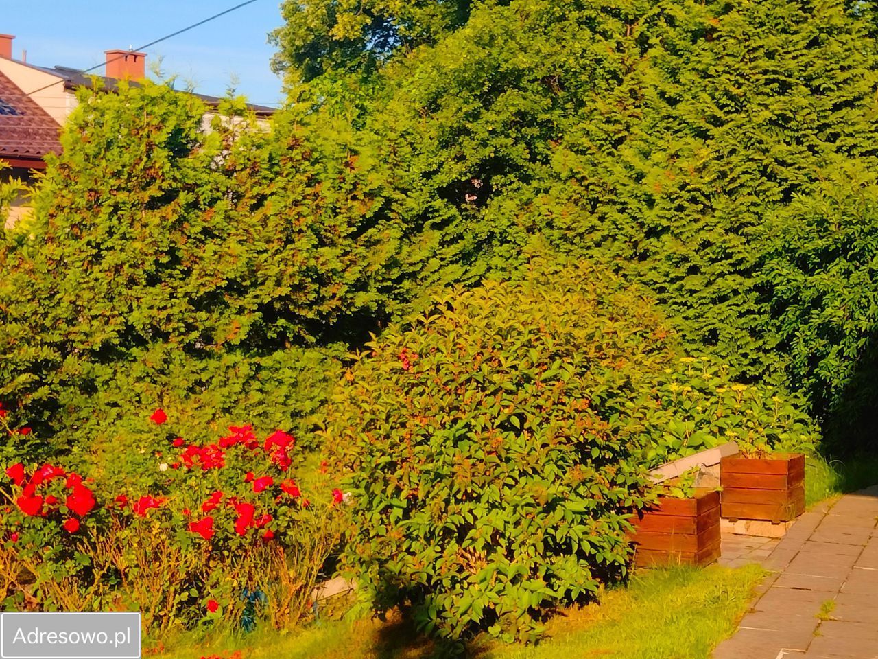 dom wolnostojący, 4 pokoje Gdynia Mały Kack. Zdjęcie 6