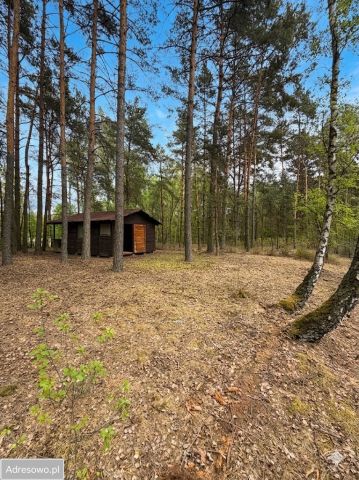 Działka budowlana Łosie, ul. Koziołka Matołka. Zdjęcie 1