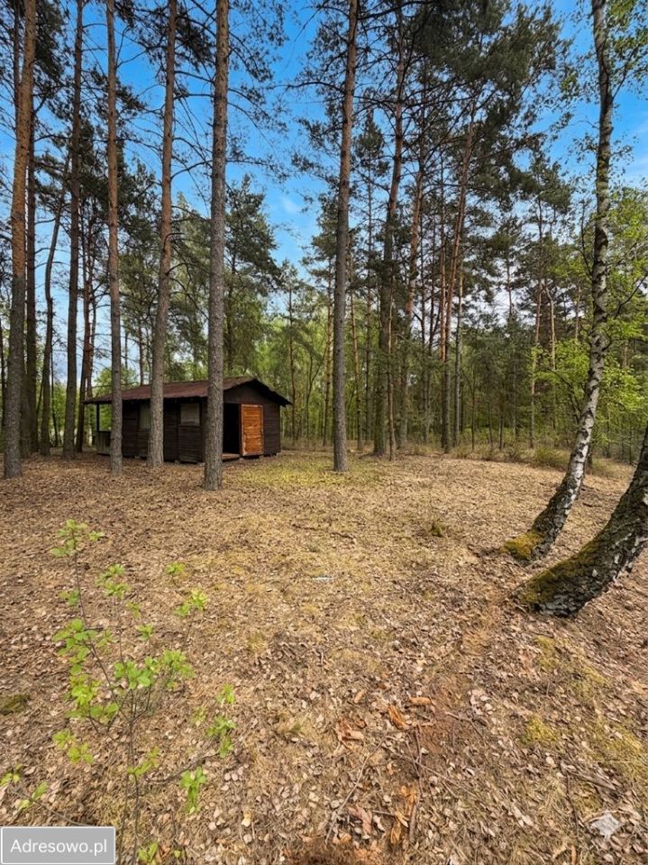 Działka budowlana Łosie, ul. Koziołka Matołka. Zdjęcie 1