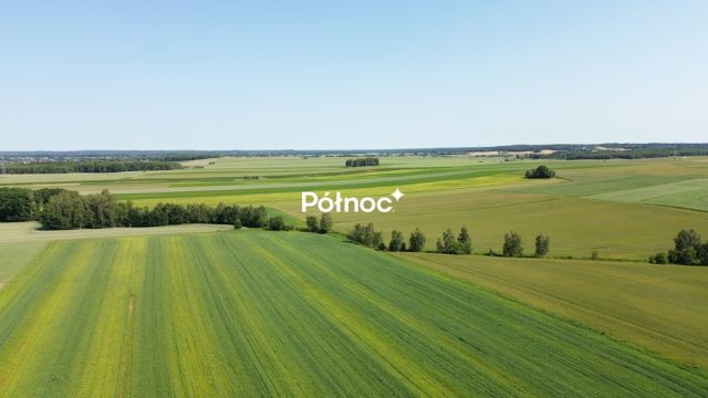 Działka rolna Parzyce. Zdjęcie 1