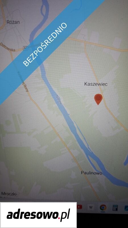 Działka leśna Kaszewiec. Zdjęcie 9