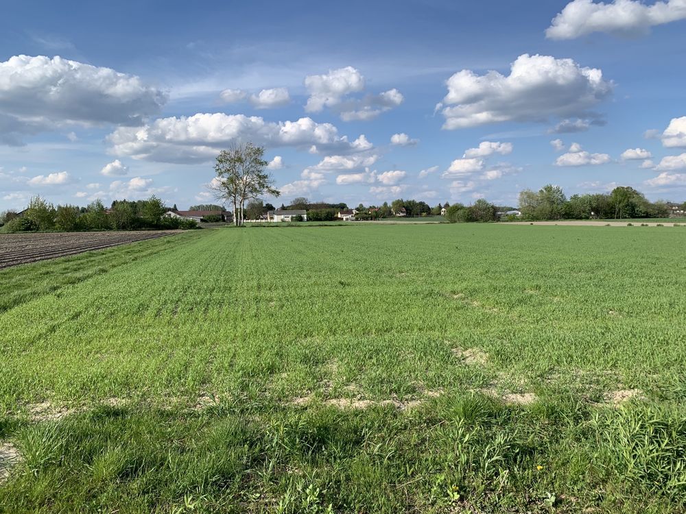 Działka rolno-budowlana Grądy. Zdjęcie 2