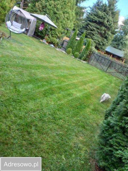 Działka rod Kajetany. Zdjęcie 4