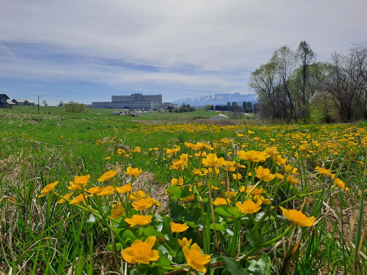Działka budowlana Nowy Targ, ul. Ustronie. Zdjęcie 12