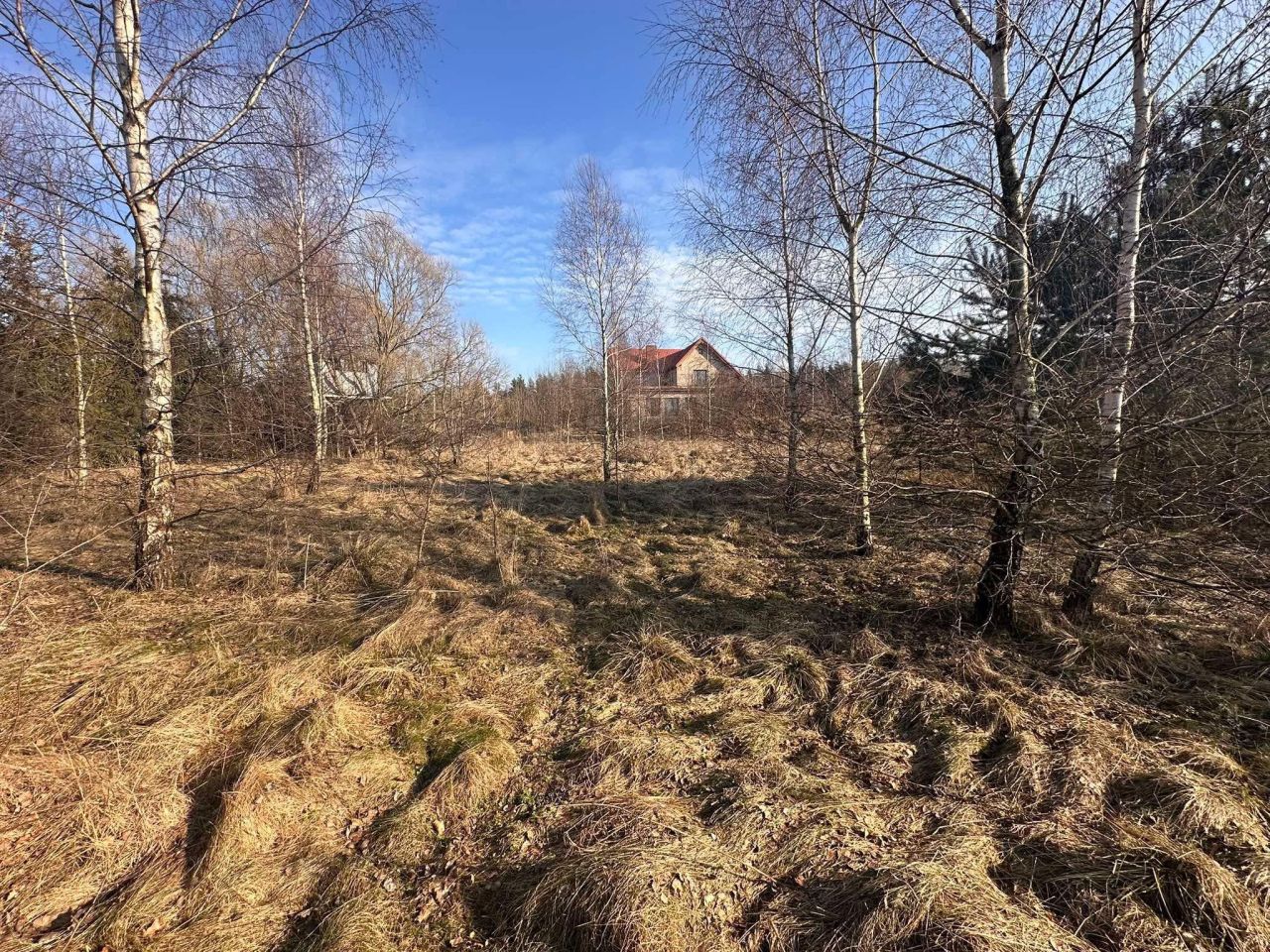 Działka budowlana Pomlewo, ul. Szkolna. Zdjęcie 9