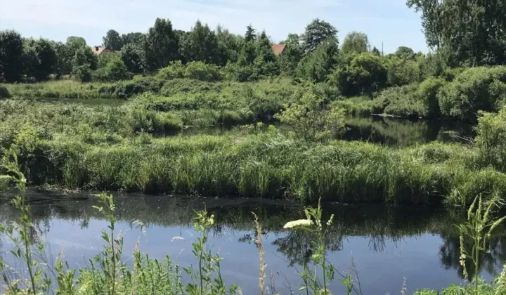 Działka rolno-budowlana Bałamątek, ul. Spacerowa