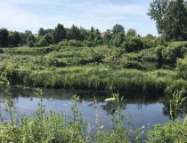 Działka rolna Bałamątek, ul. Spacerowa