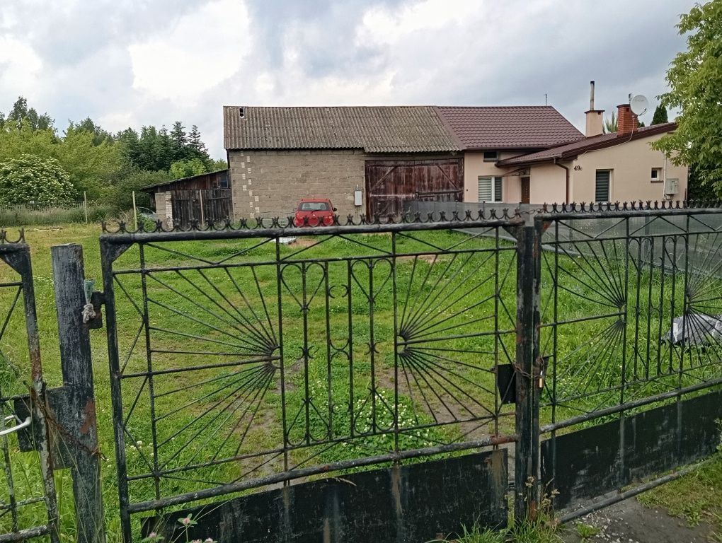 Działka rolno-budowlana Kotarwice. Zdjęcie 4