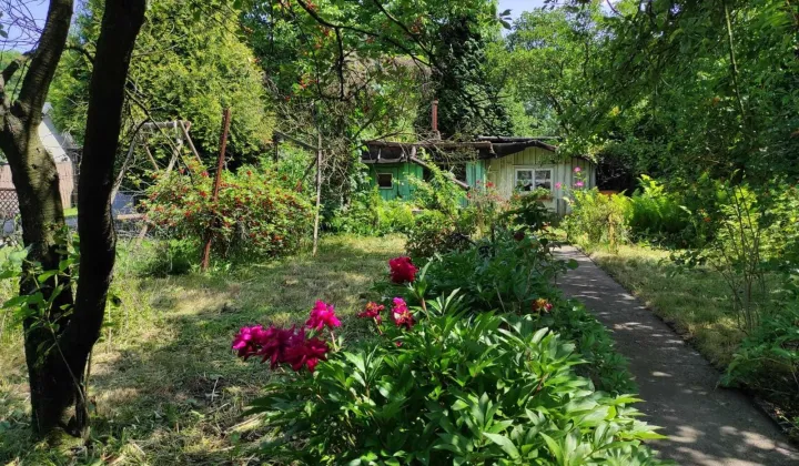 Działka rod Gliwice Trynek, ul. Stanisława Wyspiańskiego