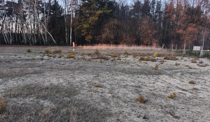 Działka rolno-budowlana Gorzewo, Brak