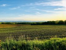 Działka budowlana Sławoszów. Zdjęcie 3