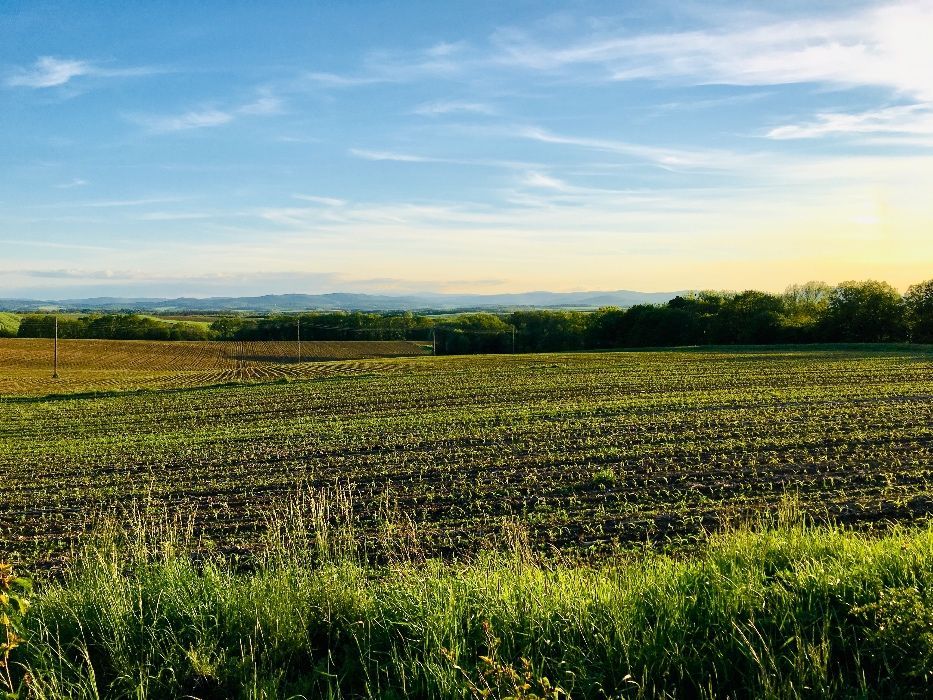 Działka budowlana Sławoszów. Zdjęcie 4