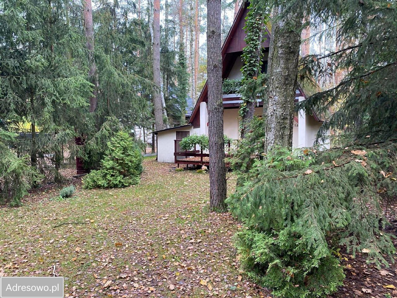 Działka rekreacyjna Joachimów-Mogiły, ul. Jaśminowa. Zdjęcie 8