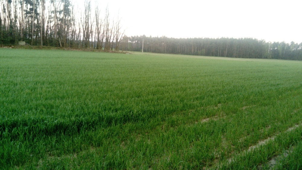 Działka budowlana Skrzatki. Zdjęcie 3