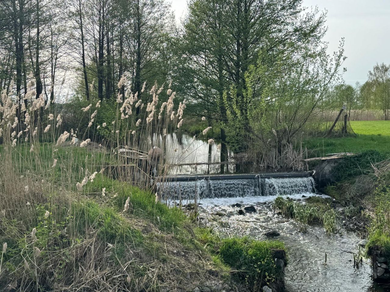 Działka budowlana Słupia. Zdjęcie 12