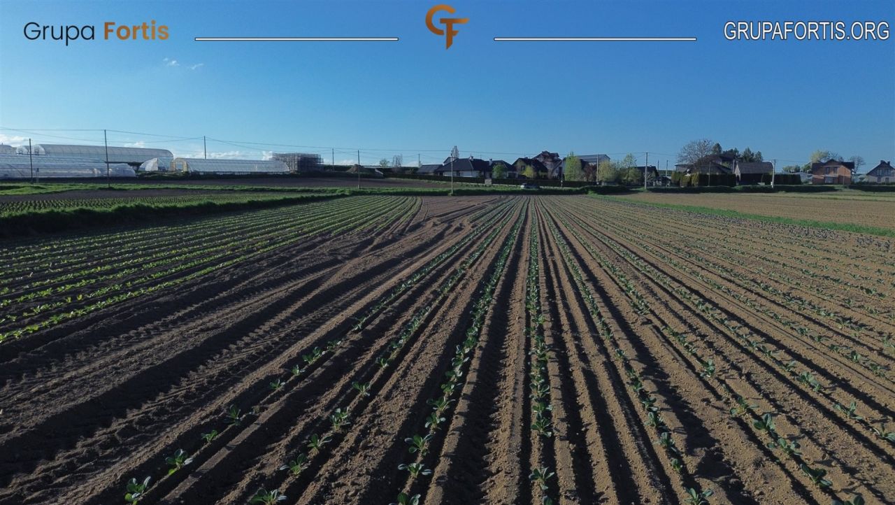 Działka rolna Tropiszów. Zdjęcie 3