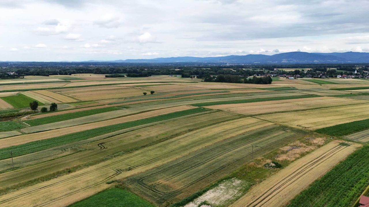 Działka budowlana Wilamowice. Zdjęcie 6