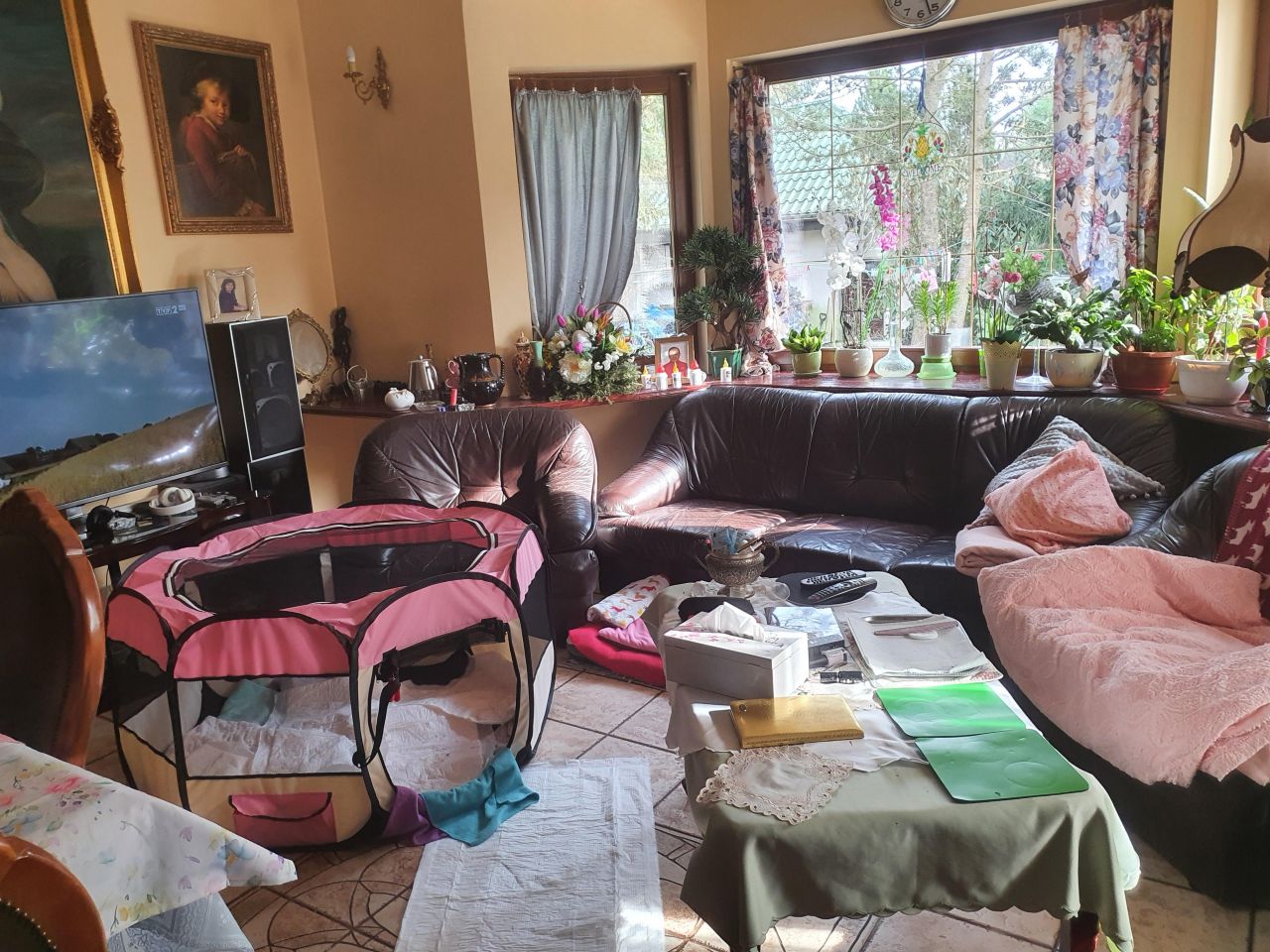 dom wolnostojący, 5 pokoi Czarnów Nowy Czarnów, ul. Topazowa. Zdjęcie 4