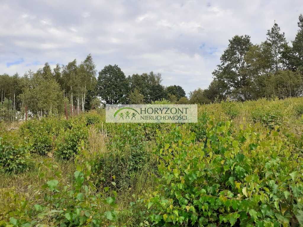 Działka budowlana Mściszewice. Zdjęcie 13