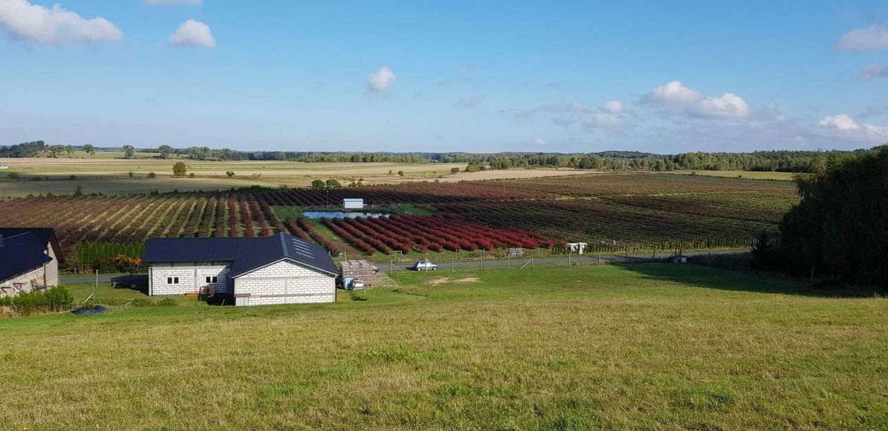 Działka rolna Białe. Zdjęcie 3