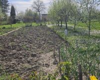 Działka rod Dębica, ul. 1 Maja. Zdjęcie 1