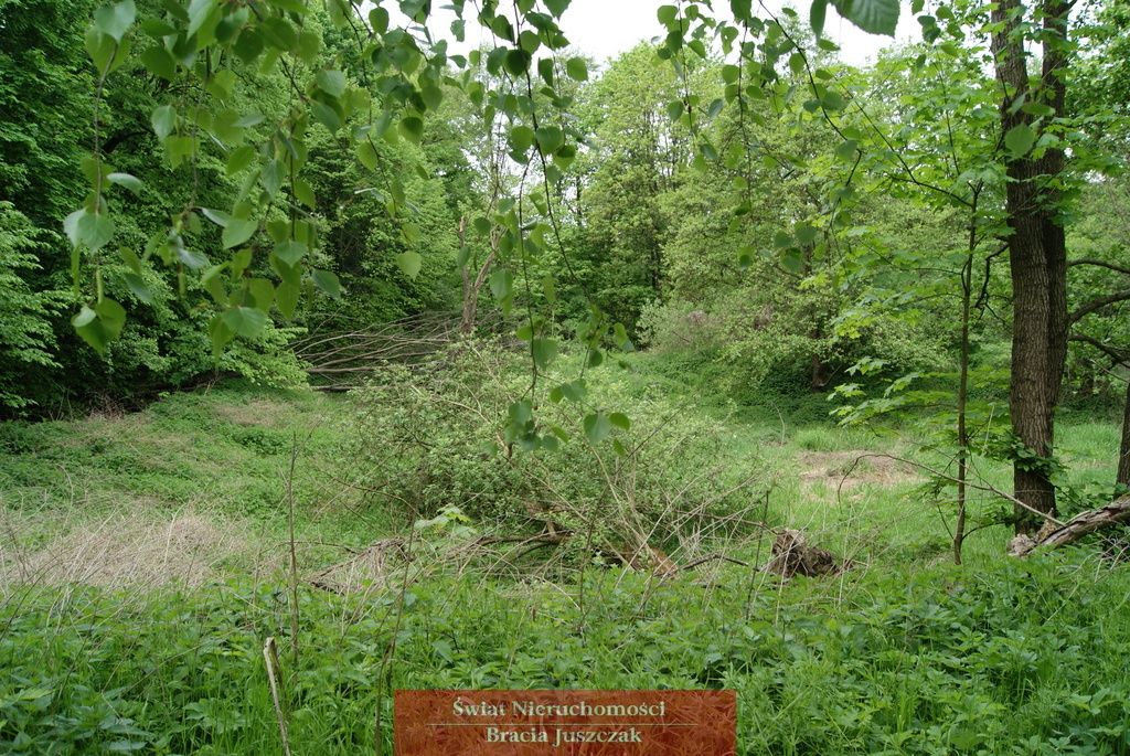 Działka budowlana Romanów. Zdjęcie 8